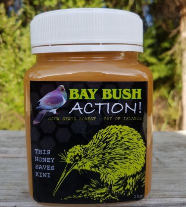 Picture of Bay Bush Action Honey - 1kg